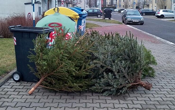 Kam s odstrojenými vánočními stromky? Jejich svoz je zajištěn do konce ledna