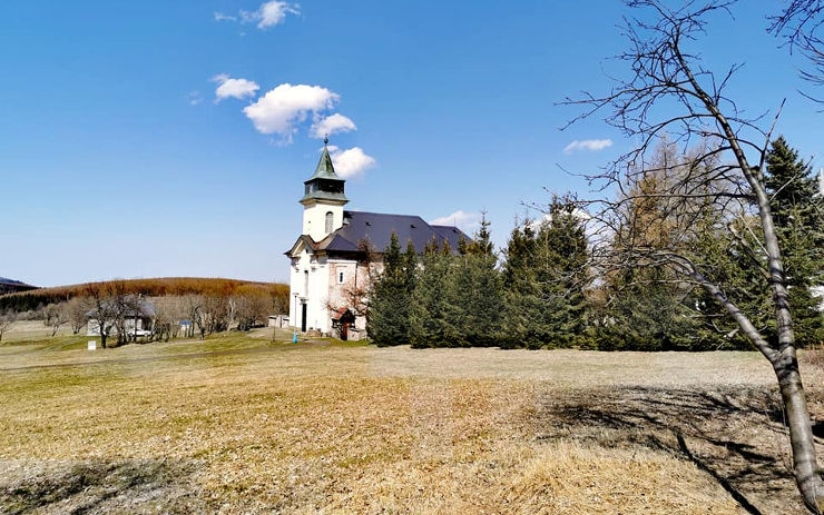 Pozemky po Rudných dolech na Cínovci půjdou možná do dražby 