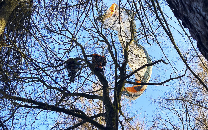 Tenhle let byl vážně adrenalinový. Sportovec skončil v koruně stromu