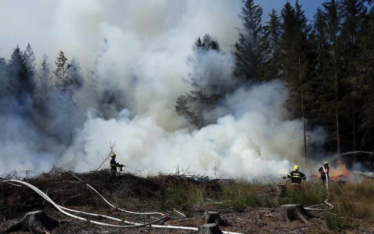 AKTUÁLNĚ: Hoří les u Krupky! S ohněm bojuje třináct jednotek hasičů