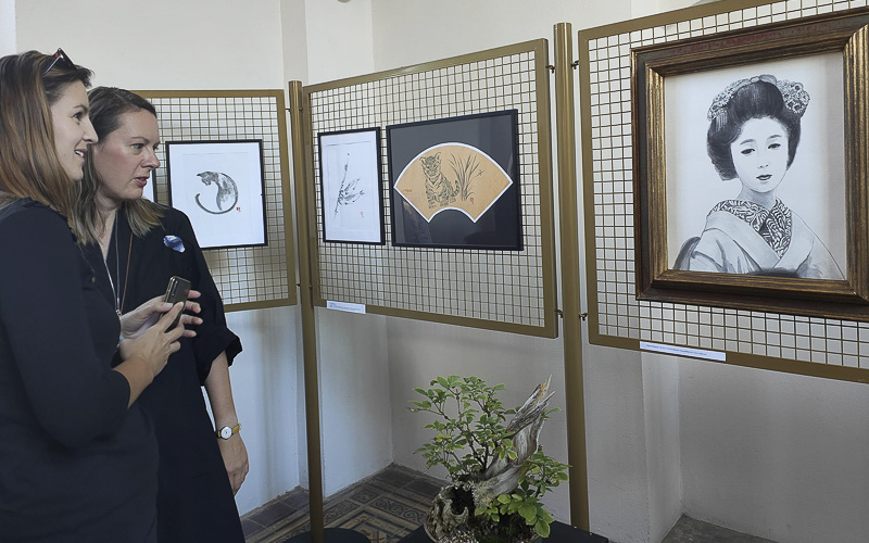 OBRAZEM: Japonské malování Radky Müllerové přitáhlo desítky zájemců