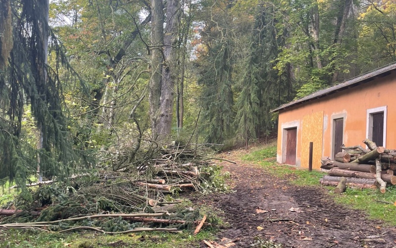 OBRAZEM: V Bílině se naplno rozběhla revitalizace parku na Kyselce