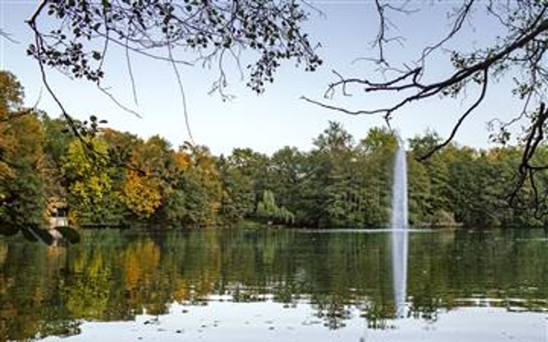 Oba rybníky v Zámecké zahradě čeká výlov. Horní rybník zůstane kvůli budoucí úpravě hráze a revitalizaci břehů částečně vypuštěný