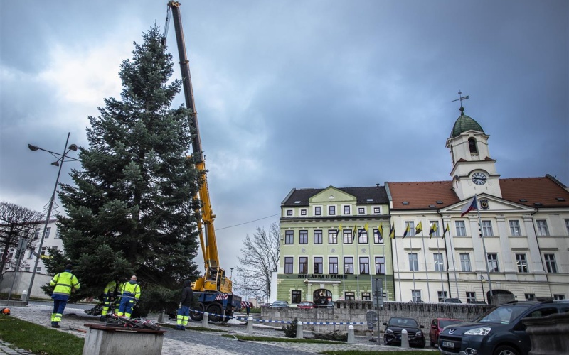 V Teplicích již stojí na náměstí Svobody vánoční strom. Adventní trhy se otevřou 26. listopadu