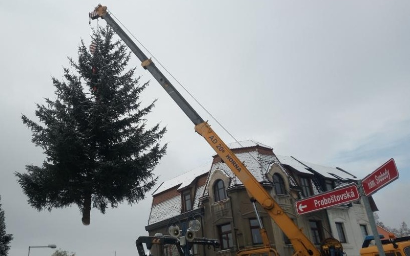 OBRAZEM: V Proboštově už stojí na náměstí vánoční strom. Slavnostní rozsvícení bude 27. listopadu