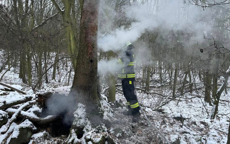 FOTO: Pod Bořní došlo k požáru lesního porostu, na místo vyjížděli hasiči