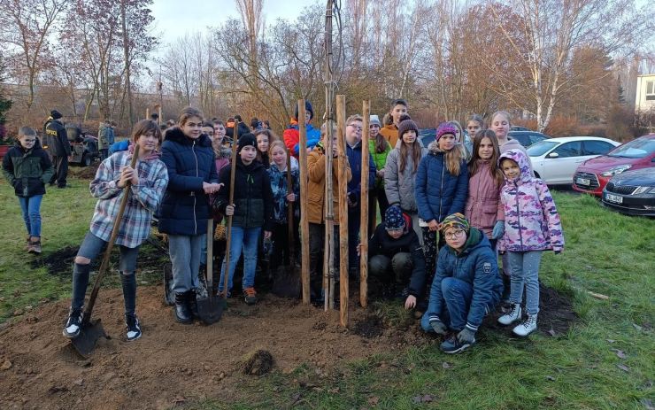 Školáci ze základní školy Buzulucká vysadili na školní zahradě třiadvacet nových stromů