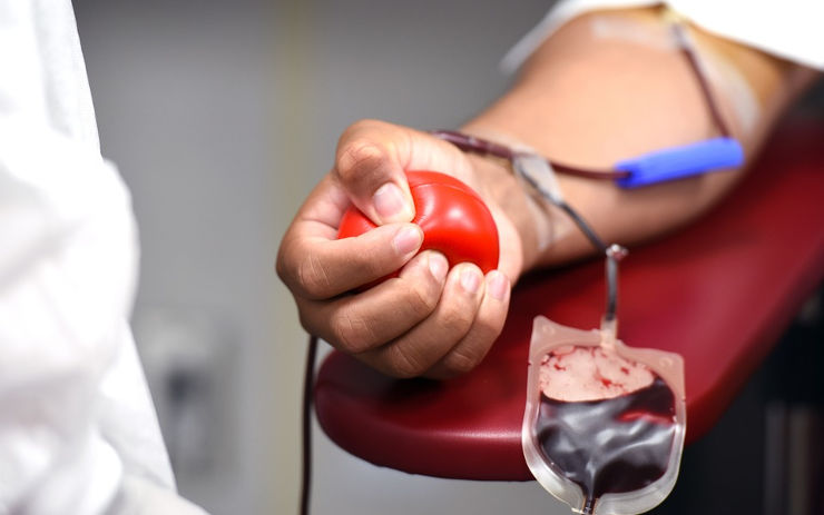 Transfuzní oddělení v ústecké nemocnici spouští online objednávací systém pro dárce krve