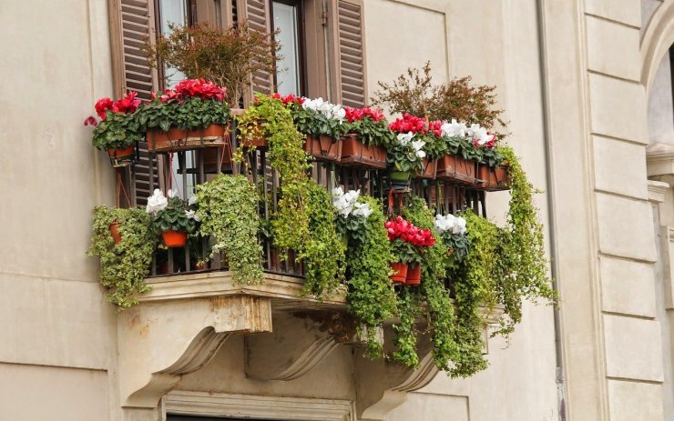 Startuje pátý ročník oblíbené soutěže pro milovníky květin. Už máte vyzdobený svůj balkón?