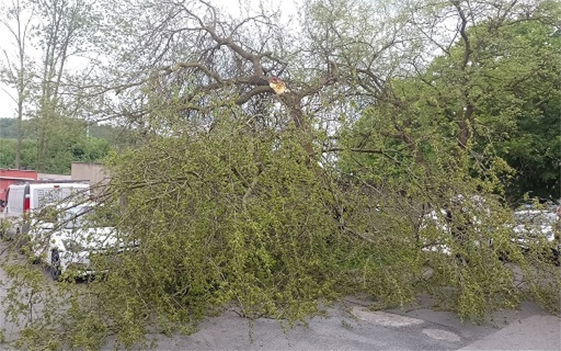 Zlomený strom spadl na zaparkované auto a zablokoval silnici, hrozil pádem na garáže