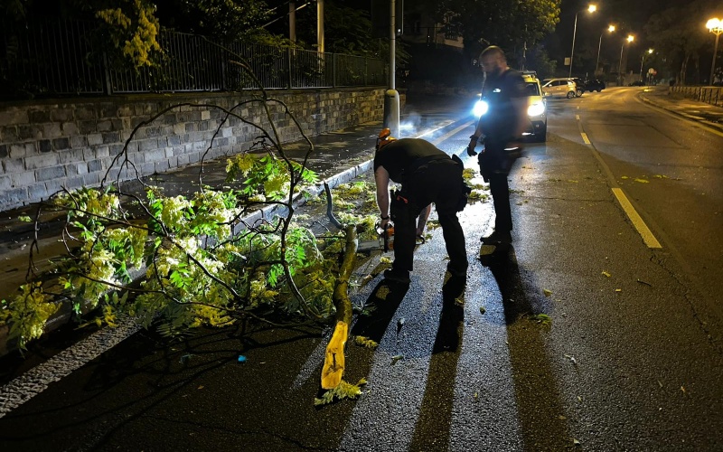 Ze stromu se ulomila obrovská větev, řetězovou pilu mají ve výbavě strážníci operační skupiny