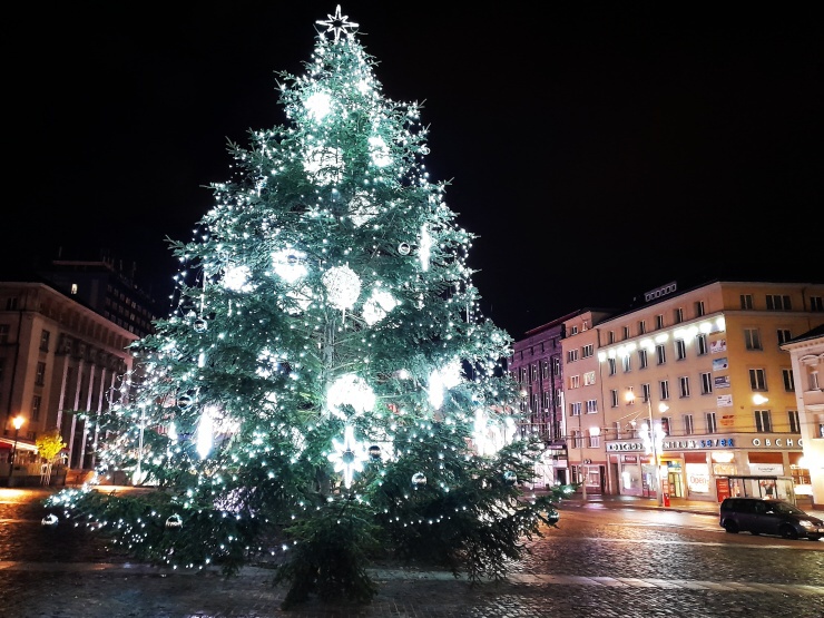 Město Ústí hledá vánoční stromy