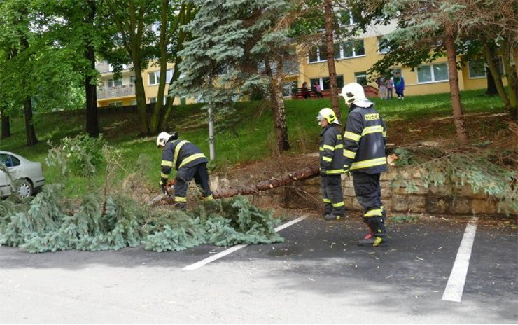 V Horní Kamenici spadl strom a povalil sloup, hasiči ho museli rozřezat