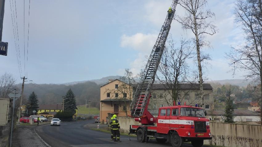 Skvělá práce: Hasiči pomáhají městu udržovat dřeviny 