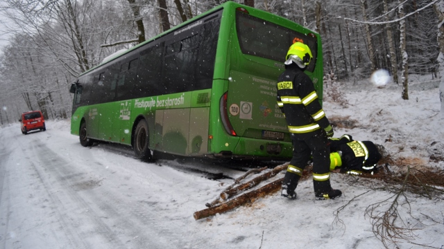 Sněžník: Autobus skončil ve škarpě. Uvnitř vozu byl uvězněn jeho řidič