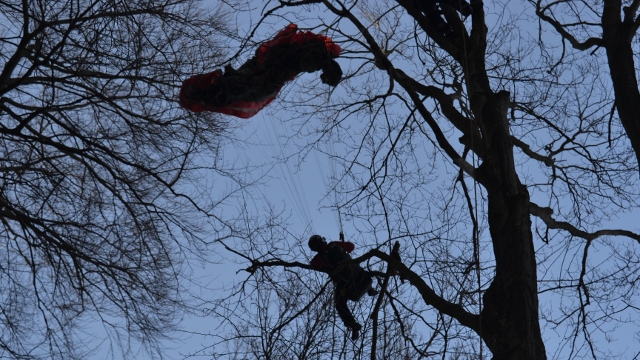 Paraglidista uvízl v Jílovém na stromě. Na místo vyrazili hasiči