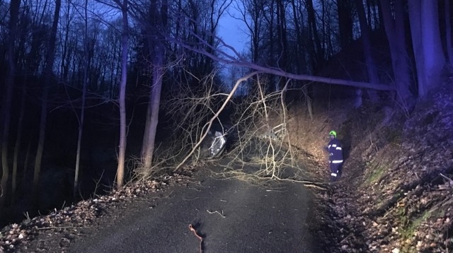 Strom ráno spadl přes cestu. Na místo vyjeli hasiči