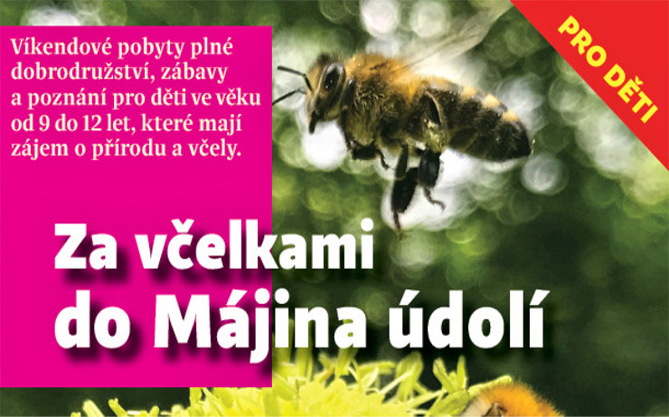 Víkendové pobyty plné dobrodružství: Pošlete děti za včelkami do Májina údolí