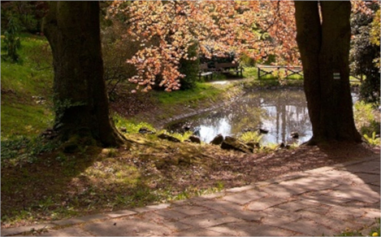 Udělejte si procházku Arboretem Kvádrberk se zajímavým výkladem
