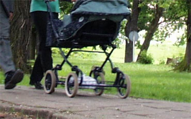 Ženě někdo ukradl kabelku z dětského kočárku, našla ji odhozenou u popelnic