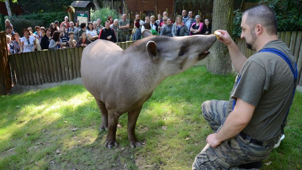 Zoo Děčín:   Komentované krmení zvířat je přes prázdniny každodenní záležitostí