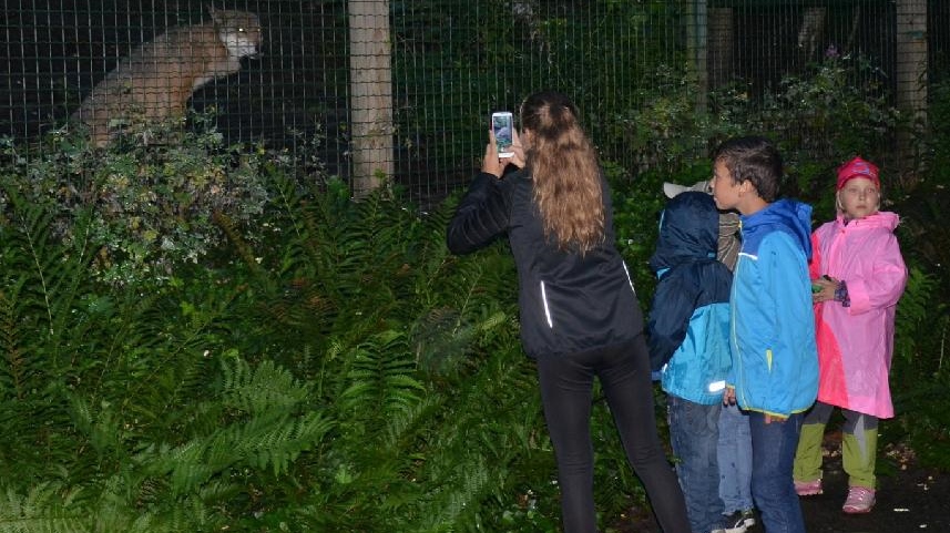 Zoo Děčín zve na večerní prohlídky