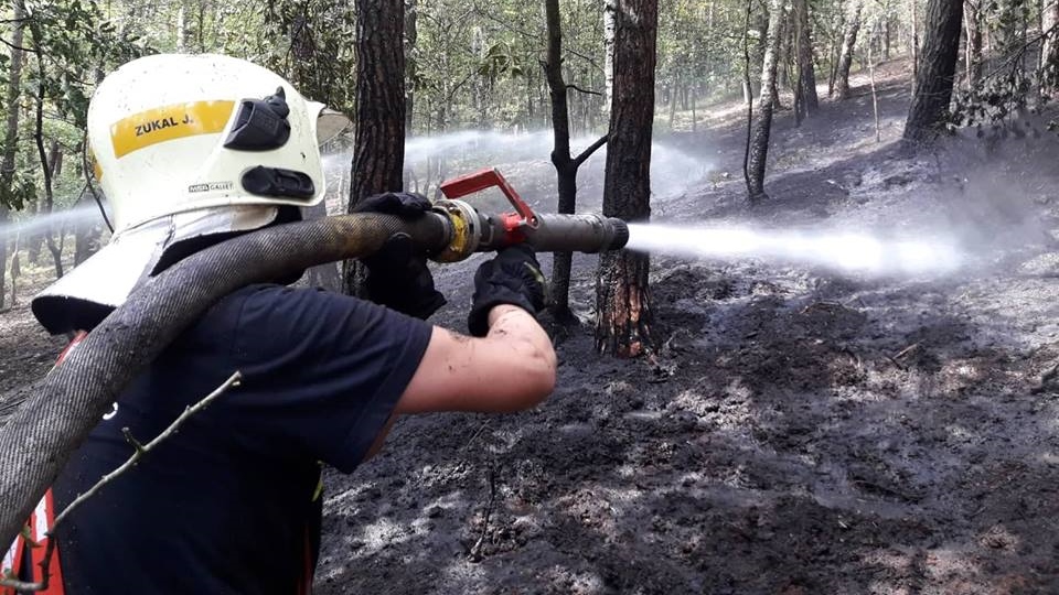 V pátek vyjížděli hasiči na Děčínsku k několika požárům