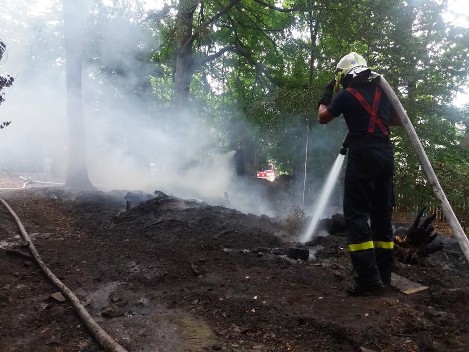 Bynov: Tři hasičské jednotky vyjely k požáru lesa