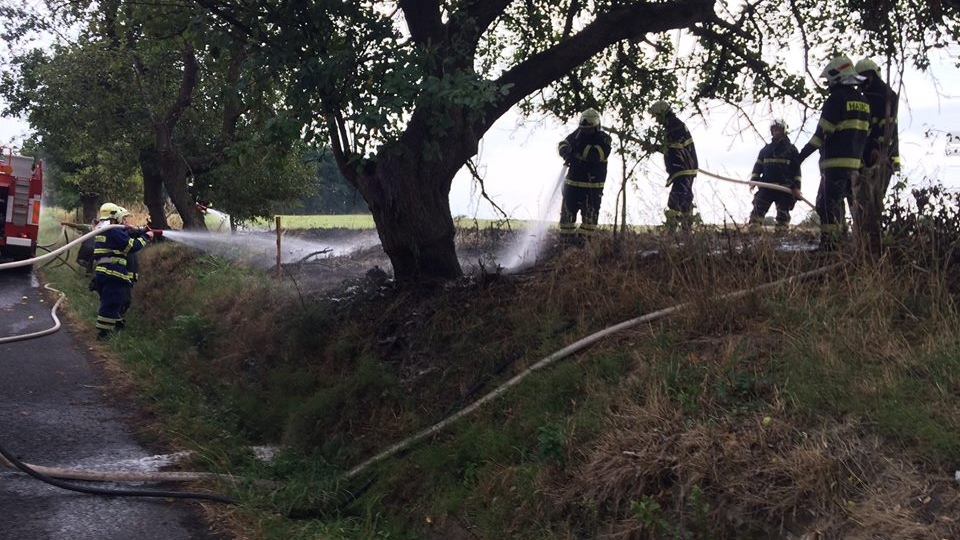 Děčín: Dvě hasičské jednotky vyjeli k požáru travního porostu