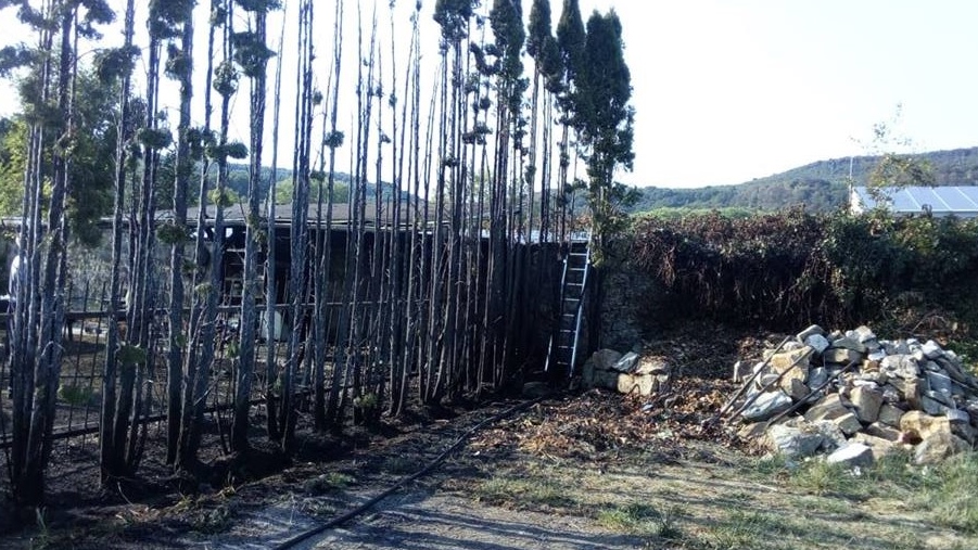 Libouchec: Dvě hasičské jednotky vyjely k požáru pergoly a jejího okolí