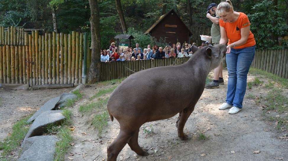 Děčín: Zoo poděkovala v sobotu adoptivním rodičům zvířat a sponzorům 