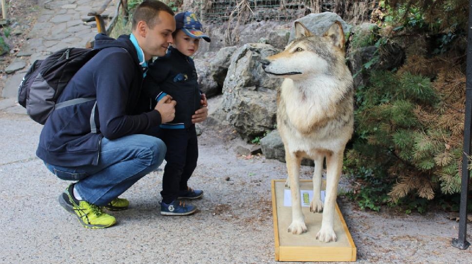 Zoo oslavila v sobotu Mezinárodní den zvířat 