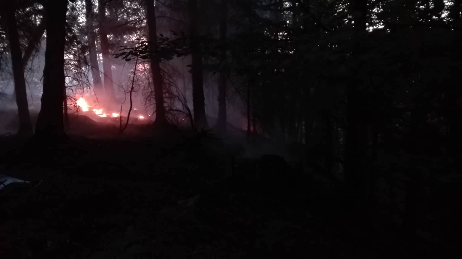U Mezní Louky hoří les. Aktuálně hasiči začínají hasit