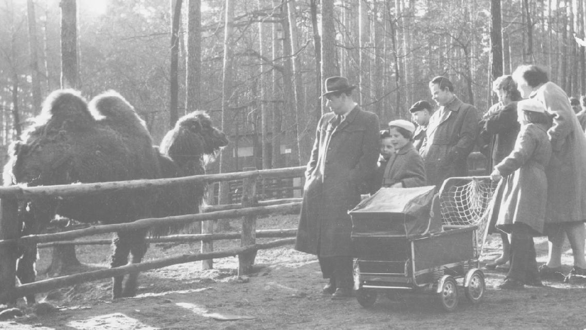 Zoo Děčín bude v příštím roce slavit, hledá pamětníky