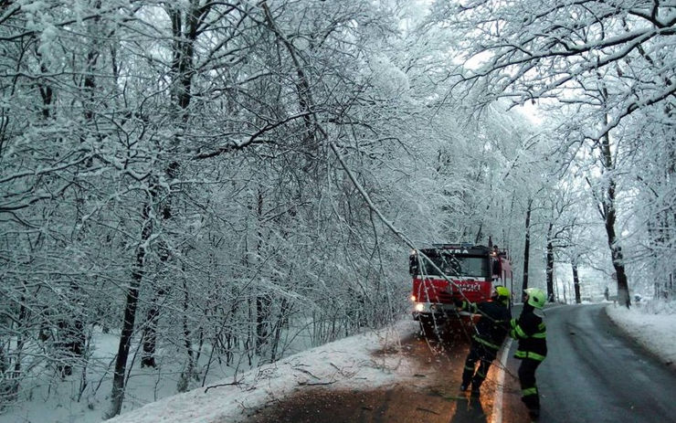 OBRAZEM: Strom se zlomil pod tíhou sněhu a poškodil plot, další ohrožoval silniční provoz