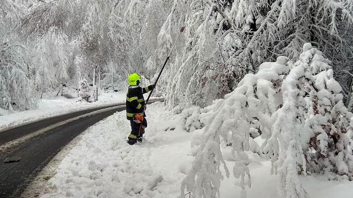 Poškozený strom směrem do Tisé nebyl jediný, co komplikoval odpoledne dopravu