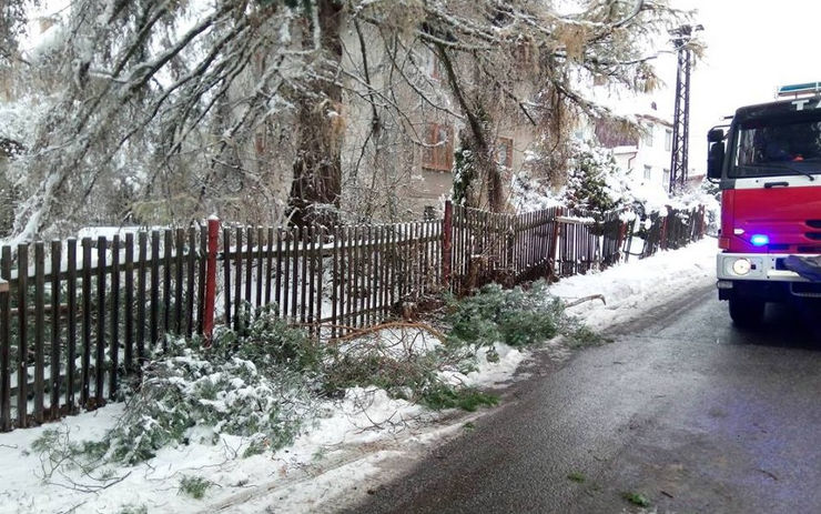 Hasiči jeli odklízet větve z vozovky. Po příjezdu na místo zjistili, že vyjížděli zbytečně