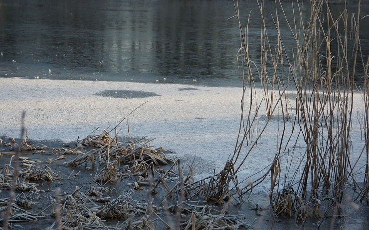 Pod dětmi se na rybníku prolomil led a začaly se topit, skočil pro ně statečný zachránce