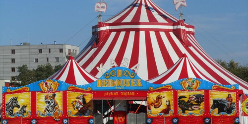 Do Děčína přijel opět největší cirkus v ČR. První představení je ve středu pod Novým mostem 