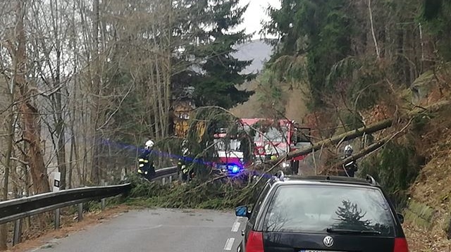 Aktuálně! Hasiči a policisté zasahují na silnici Hřensko-Děčín. Došlo k pádu stromu