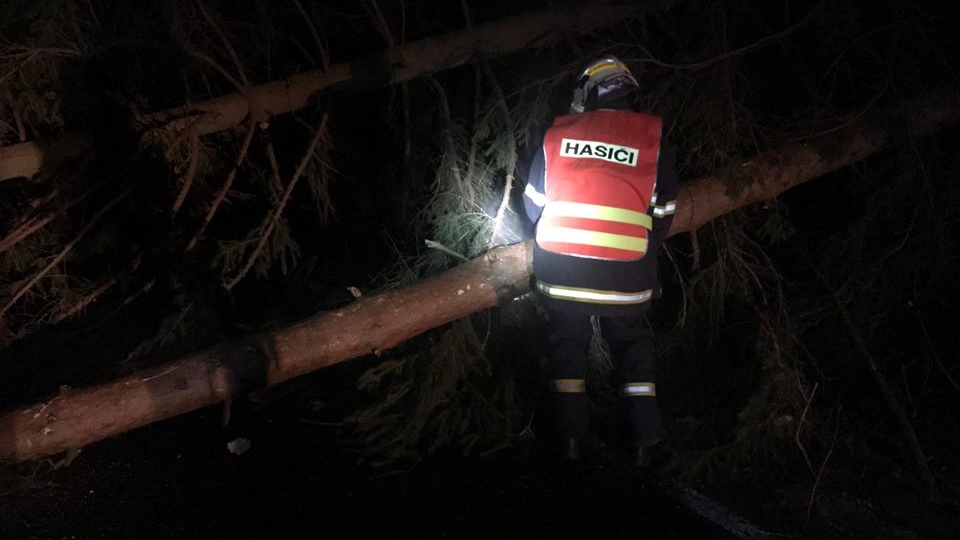 Děčínsko: Hasiči v noci vyjížděli k spadlým stromům a ráno k poškozené střeše