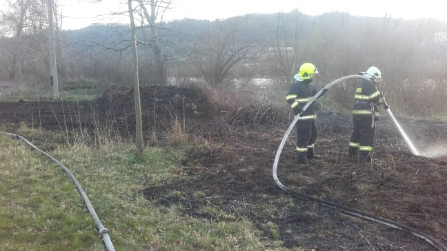 Dvě hasičské jednotky likvidovaly požár starého stromu a louky v Boleticích nad Labem