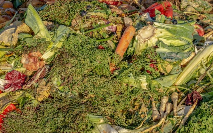 Svoz bioodpadu bude v Krásné Lípě zahájen na začátku dubna