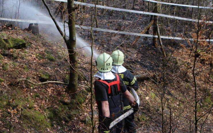 Požár lesa zaměstnal sedm jednotek hasičů, vyhlášen byl druhý stupeň poplachu