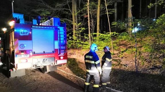 Tři hasičské jednotky vyjely k požáru lesního porostu nad čerpací stanicí