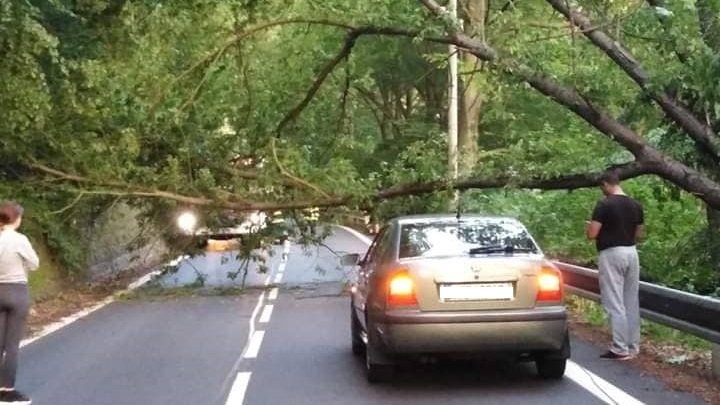 Na silnici Děčín-Hřensko došlo k pádu stromu přes silnici, na místě zasahují hasiči