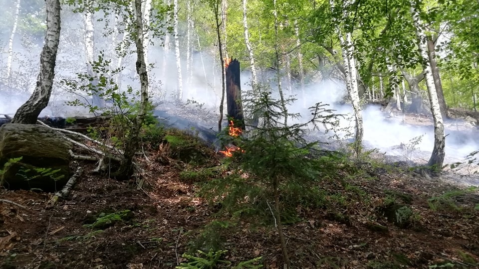 Foto: S požárem lesa v Děčíně bojuje sedm hasičských jednotek a policejní vrtulník