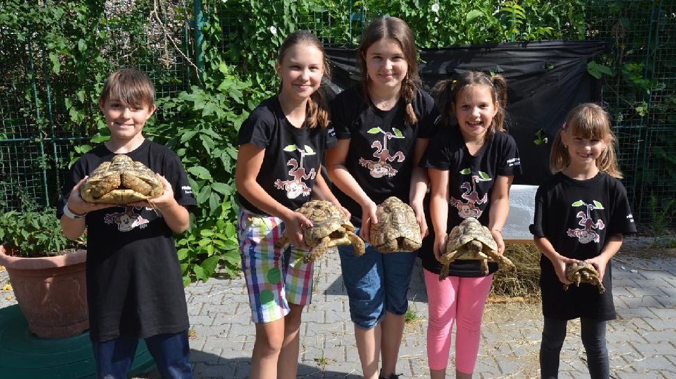 V zoo začal příměstský tábor, děti se v roli brigádníků seznamují s chodem zahrady