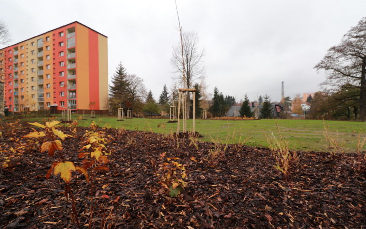 OBRAZEM: Na místě po bývalé ubytovně vznikl nový park plný zeleně