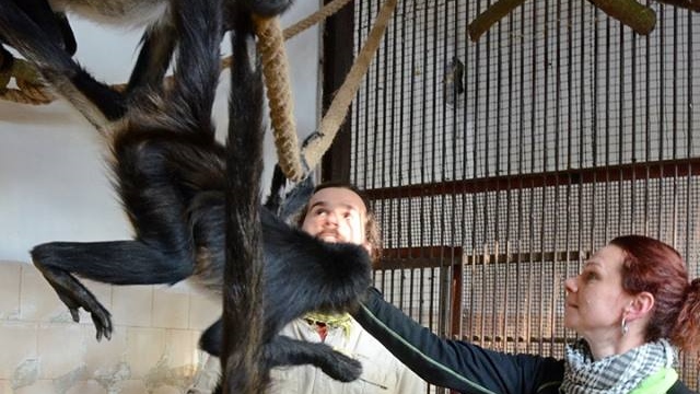 Děčín: Přihlašování na příměstský tábor v zoo bude spuštěno 1. března 2019 v 8 hodin